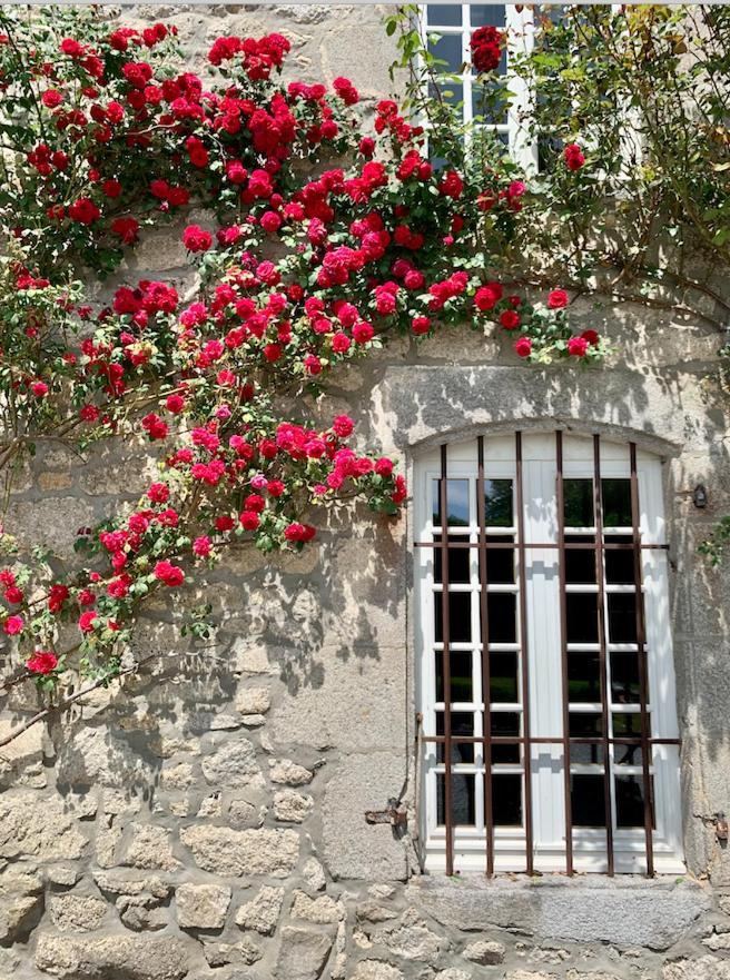 Chateau De La Borde A Ussel, Centre-Ville, Proche Autoroute A89 Юссель Экстерьер фото
